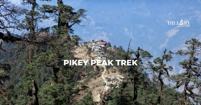 Pikey Peak Trek