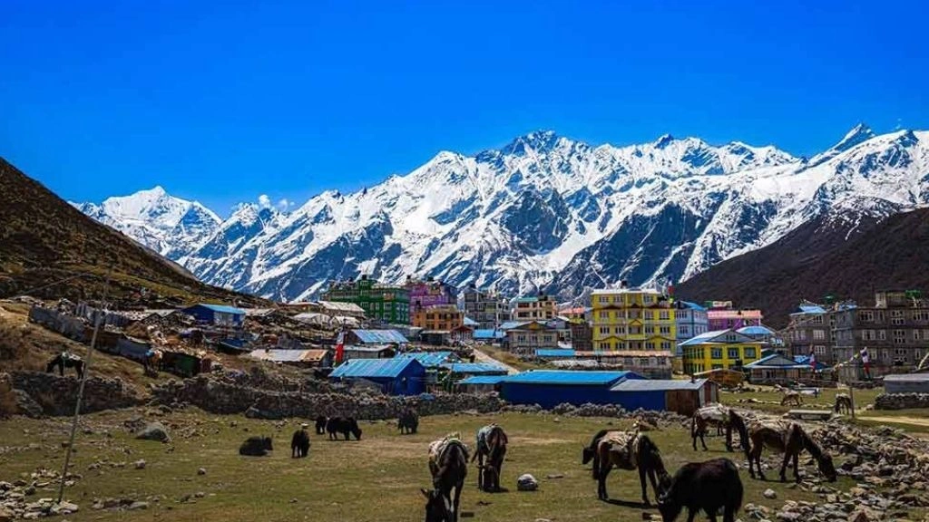 langtang village